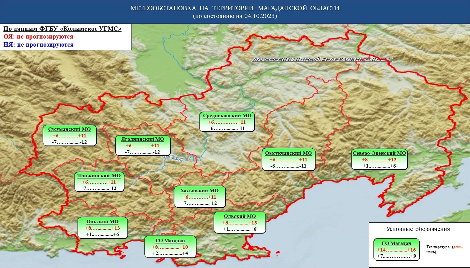 Прогноз развития лесного сектора